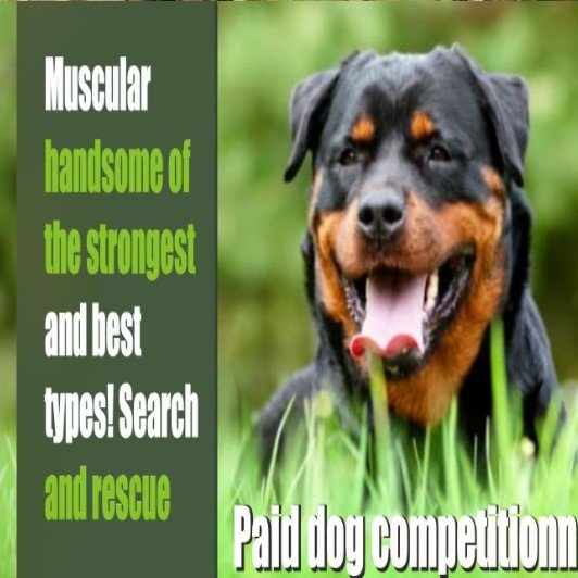 Which artist painted this painting